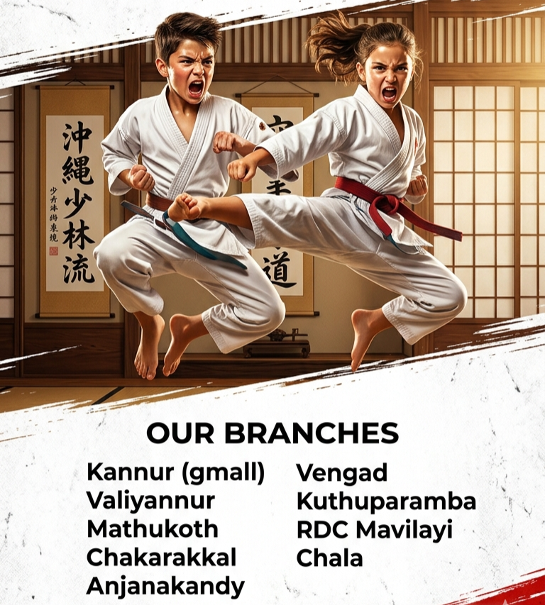 International Martial Arts Academy