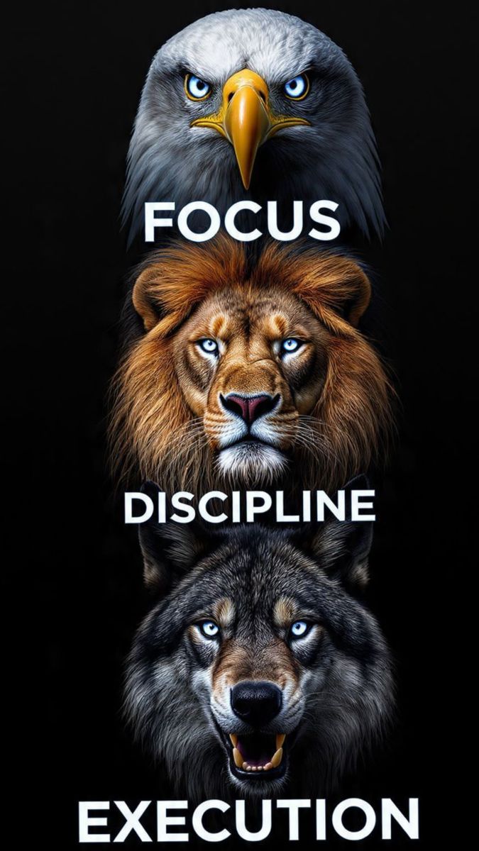 International Martial Arts Academy